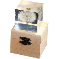 Beruyu 3D Dandelion Daisy Cube kristāla stikla rotājumu rotājums Immortal Flower Glass papīrgrozs ar koka dāvanu kastīti (pienene)