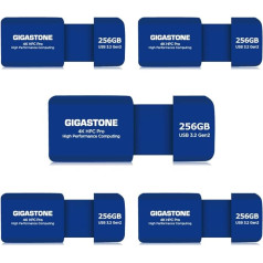 Gigastone Z80 USB atmintinė 3.2 Gen2 256GB 5 Pack USB R/W 1000/800MB/s HPC didelio našumo skaičiavimai Ištraukiamas dizainas be dangtelio Suderinamas su USB 2.0/USB 3.0/USB 3.1 sąsaja