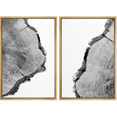 SIGNFORD Black and White Pictures with Frame, Framed Pictures Nature, Botanical Pictures, Framed Pictures Nature, Canvas Pictures Modern - 41 x 61 cm x 2 Pieces