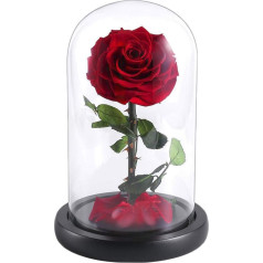 YEPLINS Skaistule un zvērs Rose Set Forever Rose in Glass Romantiska dzimšanas dienas dāvana draudzenei