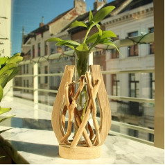 Unikāla vāze Tube terārijs Handmade Natural Wood Home Decor ūdensaugiem