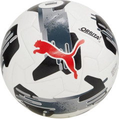 Puma Orbit 2 TB FIFA Quality Pro football 84323 02 / 5