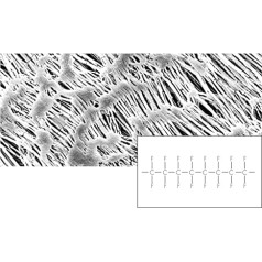 Sartorius Hydrophob PTFE membrānfiltrs, Weiß, Typ 11806, 0,45 µm poren, 13mm Durchmesser, 100 Stück