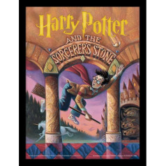 Pyramid International Harry Potter Collector's Edition ierāmēta mākslas grafika Magic Stone Design 30x40cm