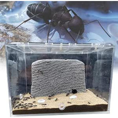 Original Ecology Office Desktop Ants Farm Nest Akrila skudras Habitat Hills ar ventilējamu ķieģeļu Ants Habitat Plus Water Groove izglītojošiem bērniem Rotaļlieta DIY dzimšanas dienas dāvana C izmērs