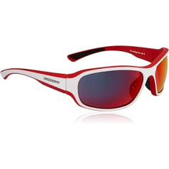 SWISSEYE freeride sporta brilles (100% UVA, UVB un UVC aizsardzība, deguna zona, materiāls bez šķembām TR90)