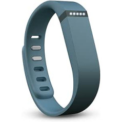 Fitbit Flex Slate