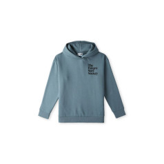 O'Neill Future Surf Society Hoodie Jr 92800614974/164