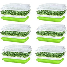 KAHEIGN 6 x Germination Trays for Sprouts, Seed Sprouter Tray 32 cm x 26 cm Germination Tray Sprouts with Lid for Large Seeds Germination Tray for Growing Mung Beans Alfalfa Wheatgrass