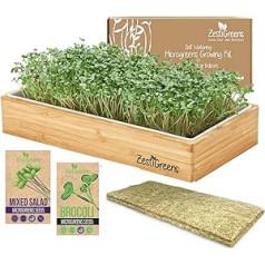 Microgreens Self Watering Kit - Includes Microgreens Tray, Microgreens Seeds, Mats and Bamboo Surround - No Soil Required. Easy to Set Up Germination Kit That Soaks Water Once.