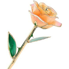 ZJchao 24K Gold Rose, Real Rose Gold Plated, Gold Rose 24K Rose Silver Flowers Valentine's Day Love Forever 24k Gold Plated Real Rose, Gift of Love