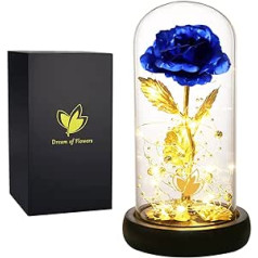 Colorful Rose Artificial Rose Beauty and the Beast Colorful LED Lights in Dome Glass Unique Gift Valentine's Day Mother's Day Birthday Anniversary