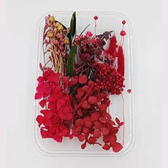 YiYFiT dabīgi kaltēti ziedi, 8 veidu īsti kaltēti ziedi lapas DIY amatniecības pušķi Materiāli kaltētu ziedu rotājumi sveķu amatniecības sveču izgatavošanas kartītei (sarkana ar kastīti)