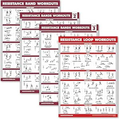 Palace Learning Widerstandsbänder, Workout-Poster, Band 1, 2 und 3, inkl. Widerstandsschlaufen, Fitnessdiagramm, 4 Stück