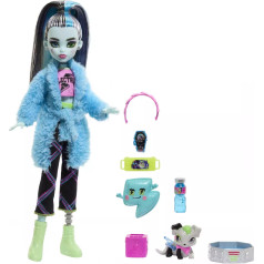 Barbie Mattel Monster High Creepover Party Frankie Stein Lelle 27 сm