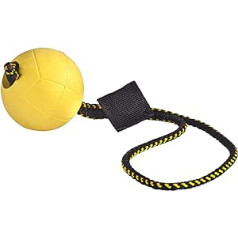 DINGO GEAR WWW.DINGOGEAR.COM 1977 Magnetic Set for Dog Training: Encased Magnet and Magnetic Grip Rubber Ball