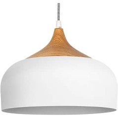 tomons LP02002 LED griestu lampa Scandinavian, balta, 30,5cm