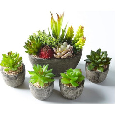 Jobary Set of 5 Artificial Succulents with Pots (Including 10 Plants), Colourful and Decorative Fake Succulents with Stones, Ideal for Home, Office and Outdoor Decor