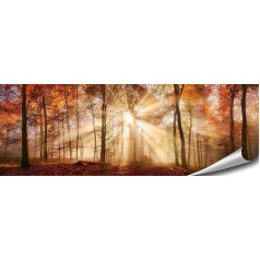 ARTBAY Meža plakāts HD XXL Panorama Art Print 118.8 x 42 cm Zelta rudens saule Dabas bildes Premium Quality