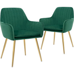 Canglong Akcenta krēsls mēbeles Modernā dzīvojamā istaba ēdamistaba Akcenta krēsli Kluba viesis ar zelta metāla kājām, komplekts no 2, zaļš, samts, putas