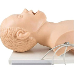 AXSMD Orgelmodell Orales Nasenintubationsmodell, medizinisches Simulatormodell, Trainingsmodell für den naturwissenschaftlichen Schulunterricht, Anzeigemodell Anatomiemodell