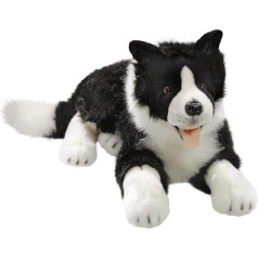 Carl Dick Border Collie liegend, Hund, Plüschtier, Kuscheltier ca. 60cm 2695