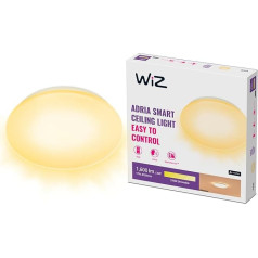 WiZ Adria Warm White griestu gaisma (1600 lm), LED gaisma ar regulējamu apgaismojumu un silti baltu gaismu, viedā apgaismojuma vadība, izmantojot WiFi, izmantojot lietotni/balsu, balta krāsā