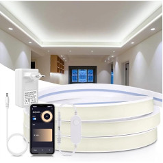 CHNMALITAI 24 V neona LED lente, saderīga ar Alexa un Google Assistant, 5 m 1600 LED gaismas diodes 6500 K, 6500 K, lietojumprogrammas vadība, dimmējama, ūdensnecaurlaidīga LED lente iekštelpu āra dekorēšanai (balta gaisma)