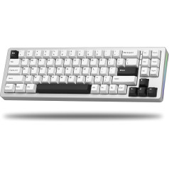 LQXQ SK71 68% Mechanische Tastatur, Bluetooth 5.0/2.4GHz Wireless/USB-C Kabel, Gaming-Tastatur All-Aluminium CNC, Hot-Swappable, RGB 14 für Mac/Win, Silber