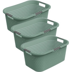 Rotho Country 3 veļas grozi, 40 L, plastmasas (PP), BPA-Free, tirkīza, 40 L (58,0 x 38,9 x 25,1 cm)