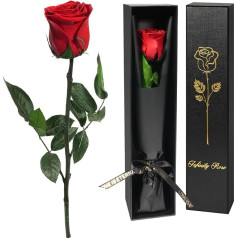 Yamonic Infinity Rose Rot mit Stiel Geburtstagsgeschenk für Frauen,Echte Rose Geschenke für Frauen Ewige Rose in Geschenkbox,Konservierte Blume zum Valentinstag, Deko Geschenk,Geschenke für Mama