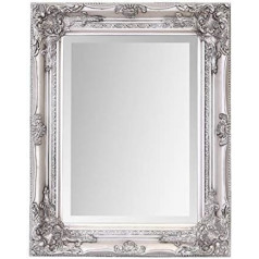 Select Mirror Rhone spogulis - franču Vintage, rokoko baroka stilā - 42 cm x 53 cm (antīkais sudrabs)