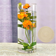 ZgoEC Glasvasen für Tischdeko Vase Glas Vasen Groß Rund, Glasvase 30cm Hoch, Vasen Deko Blumenvase Zylinder Vase Tulpen, Bodenvase Glas Vasen für Tischdeko, Kerzenglas Vasen für Pampasgras, Orchideen