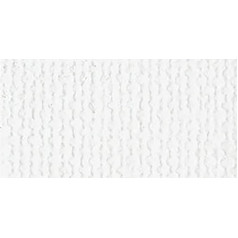 Bazzill Basics Papīrs Bazzill Basics weiß Leinwand 30,5 x 30,5 cm tonkartons Bulk (Pack von 25 Blatt), 30,5 x 30,5 cm