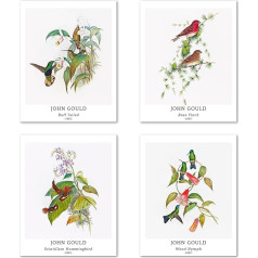 Art Print Unframed Classic Bird Picture Set of 4, Plakāta izmērs: 20 x 25 cm Premium Art Paper Wall Decoration Minimalist Aesthetic Realism Natural Matching Home Decoration John Gould Print