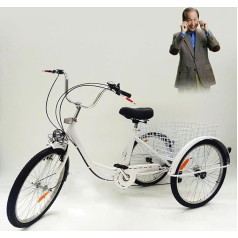 Fetcoi 24 inch 3 wheel adult 6 speed bicycle tricycle with light and shopping basket, suitable for female male older for leisure and shopping.