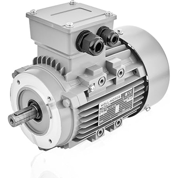 Elektromotors 3kW 2860rpm 3 fāzes. 230/400 V trīsfāzu motors MOLL-MOTOR Energoefektīvs motors Flanšas montāža B14 Vārpstas diametrs 28 mm Asinhronais motors IP55 Augstas efektivitātes rūpnieciskie elektromotori