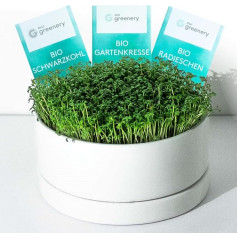 Keimschale für Microgreens ziehen | Anzuchtschale Set inkl. 3 Bio Samen | Starter Set - Ernte in 6 Tagen | Handgefertigte Keramik | ohne Erde