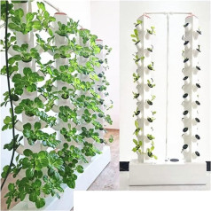 Iekštelpu garšaugu dārza komplekts Hydroponic Tower Growing Sytem Iekštelpu vertikālās hidroponikas torņa dārza aeroponiskās audzēšanas sistēmas komplekts Augu rāmis augļiem, dārzeņiem, garšaugiem, balts garšaugiem, Vai