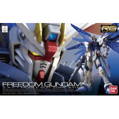 Rg 1/144 freedom gundam bl