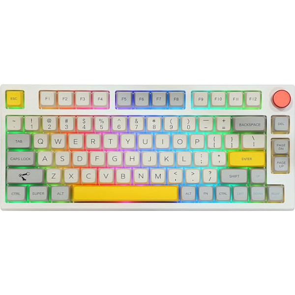 EPOMAKER TH80 Pro mehāniskā spēļu klaviatūra, 2.4GHz/Bluetooth, 75% Hotswap ar RGB PBT taustiņiem WIN/MAC/PS4/PS5/Xbox (Theory, Gateron Pro Brown)