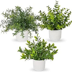 Oairse komplekts ar 3 mākslīgiem augiem podiņā, mākslīgi augi, piemēram, īsts eikalipts, mini mākslīgais rozmarīns, mākslīgais papardes augs dekorēšanai, viesistaba, galda dekorēšana, vannas istaba