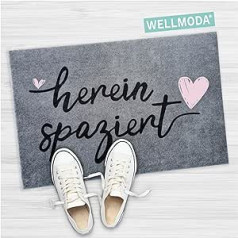 WELLMODA® kāju paklājiņš I Walk In, mazgājams mašīnā un neslīdošs, kājslauķis lietošanai ārā un iekštelpās, durvju paklājiņš un durvju dekors, 40 x 60 cm un pelēks