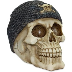 mtb more energy Decorative Hiphop MC Skully Money Box Blue Wool Hat Skull Figure Decoration