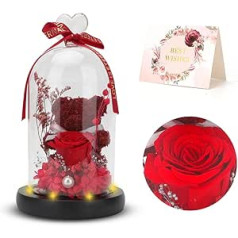 ASANMU Mūžīgais rožu lācis stiklā, Rožu lāča dāvanas sievietēm, mūžīgā roze stiklā ar LED gaismu un pamatni, Mūžīgās rozes dāvanas, Rožu lācis, Ziemassvētku dāvanas draudzenei, mammai, vecmāmiņai (sarkana)
