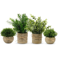 YVONNEYI Pack of 4 mākslīgie augi, Mini mākslīgie augi Eikalipts, Mākslīgie augi Plastmasas guļamistaba, vannas istaba, virtuve, mājas, iekštelpu apdare (005, 4 gabali)