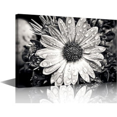 TISHIRON Black and White Dewdrop Flower Wall Paintings for Living Room Daisy Pictures Print on Canvas Wall Art Bedroom Wall Decor Office Wall Art Giclee Framed Ready to Hang