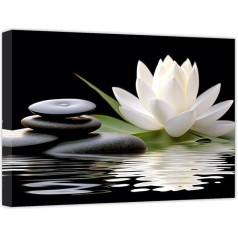 CCWACPP Zen Canvas Prints White Lotus Flower in Water Wall Picture Flowers Stone Spa Glezniecība jogas meditācijas istabas vannas istabas sienas apdare 30 x 45 cm