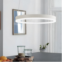 YYUTLUO Mūsdienīga DIY apļa LED lustra, 1 balti zelta gredzeni, 60 cm = 29 W, LED piekaramā gaisma, izgatavota no metāla un akrila, 2,4 G dimmable tālvadības pults, apaļa griestu piekaramā lampa, dzīvojamā istaba,