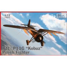 Plastmasas modelis pzl p.11g kobuz